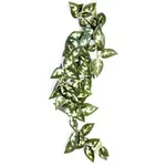 KOMODO BORNEO HANGENDE VAREN 40 CM KOMODO BORNEO HANGENDE VAREN 40 CM