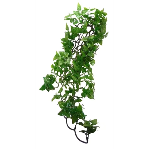 KOMODO PHILODENDRON PLANT 60 CM KOMODO PHILODENDRON PLANT 60 CM