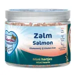 RENSKE HOND GEZONDE BELONING MINI HARTJES ZALM 100 GR RENSKE HOND GEZONDE BELONING MINI HARTJES ZALM 100 GR