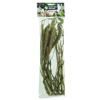 BACK ZOO NATURE MILLET SETARIA 30 GR BACK ZOO NATURE MILLET SETARIA 30 GR