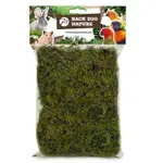 BACK ZOO NATURE FOREST MOSS 70 GR BACK ZOO NATURE FOREST MOSS 70 GR