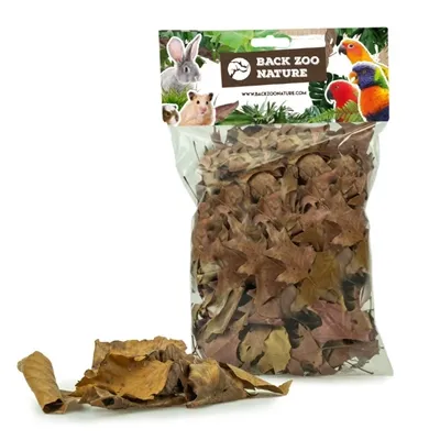 BACK ZOO NATURE DISCOVERY LEAVES CA. 50 GR BACK ZOO NATURE DISCOVERY LEAVES CA. 50 GR