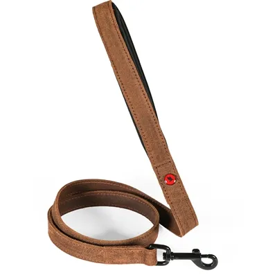 ZOLUX EXPERT HONDENRIEM PREMIUM LEER / NEOPREEN BRUIN 100X1,5 CM ZOLUX EXPERT HONDENRIEM PREMIUM LEER / NEOPREEN BRUIN 100X1,5 CM