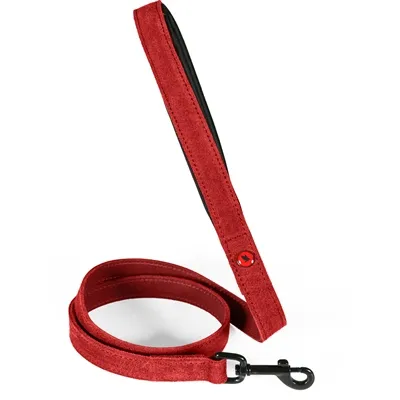 ZOLUX EXPERT HONDENRIEM PREMIUM LEER / NEOPREEN ROOD 100X2 CM ZOLUX EXPERT HONDENRIEM PREMIUM LEER / NEOPREEN ROOD 100X2 CM