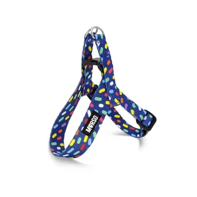 MORSO MINI HONDENTUIG VERSTELBAAR GERECYCLED COLOR INVADERS PAARS 24-32X1,5 CM MORSO MINI HONDENTUIG VERSTELBAAR GERECYCLED COLOR INVADERS PAARS 24-32X1,5 CM