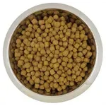 YOURDOG DWERG- OF TOYPOEDEL VOLWASSEN 12 KG YOURDOG DWERG- OF TOYPOEDEL VOLWASSEN 12 KG