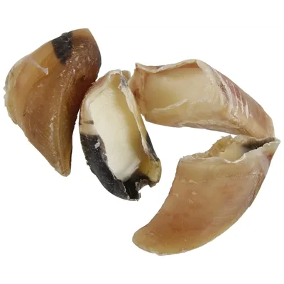PETSNACK SNACK KALFSHOEVEN MET SCHAPENVET GROOT 50 ST PETSNACK SNACK KALFSHOEVEN MET SCHAPENVET GROOT 50 ST