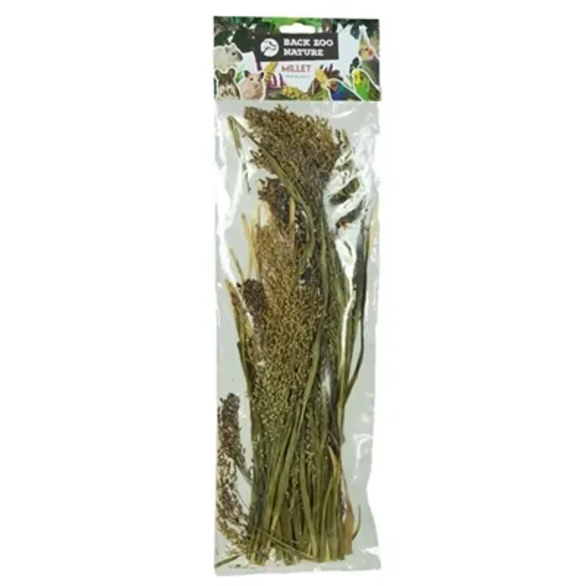 BACK ZOO NATURE MILLET PANICUM 40 GR