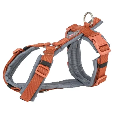 TRIXIE HONDENTUIG PREMIUM TREKKING ROEST BRUIN / GRAFIET GRIJS 62-74X2,5 CM TRIXIE HONDENTUIG PREMIUM TREKKING ROEST BRUIN / GRAFIET GRIJS 62-74X2,5 CM
