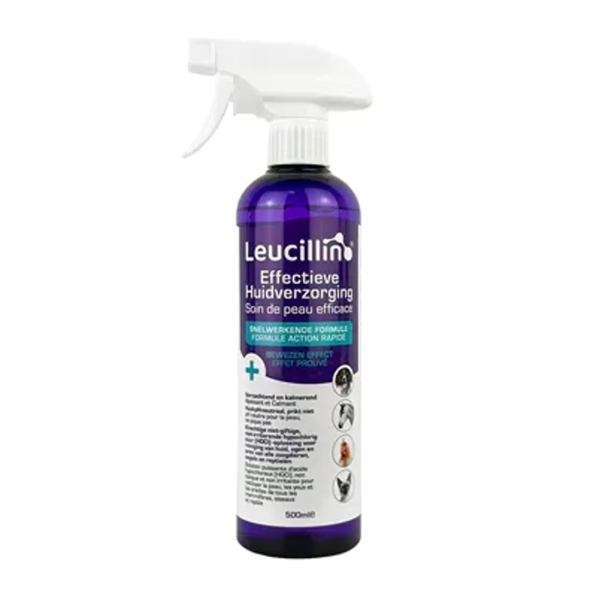 LEUCILLIN SPRAY 500 ML