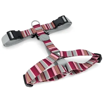 MORSO HONDENTUIG H-TUIG GERECYCLED SKYLINE ROOD / ROZE 40-55X1,5 CM MORSO HONDENTUIG H-TUIG GERECYCLED SKYLINE ROOD / ROZE 40-55X1,5 CM
