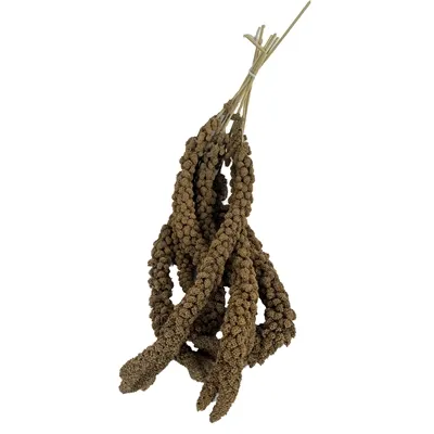 DE VRIES SNOEP TROSGIERST 3 KG DE VRIES SNOEP TROSGIERST 3 KG