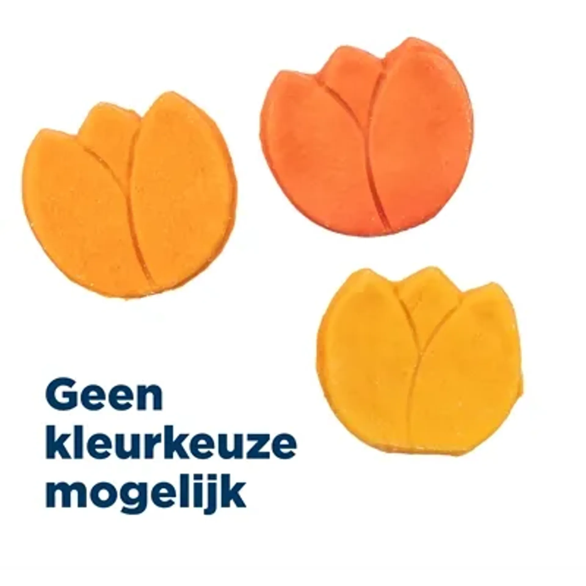TRIXIE TULP MET KIPPENBORST ASSORTI 25 GR