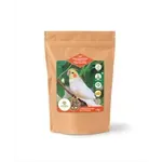 UTOPIA GROTE PARKIETEN AUSTRALISCH TOP QUALITY 1 KG UTOPIA GROTE PARKIETEN AUSTRALISCH TOP QUALITY 1 KG