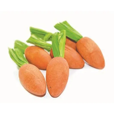 HAPPY PET CARROT NIBBLERS KNAAGHOUT 8X3X3 CM 6 ST HAPPY PET CARROT NIBBLERS KNAAGHOUT 8X3X3 CM 6 ST