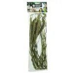 BACK ZOO NATURE MILLET SETARIA 30 GR BACK ZOO NATURE MILLET SETARIA 30 GR