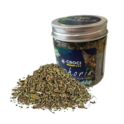 CROCI EUPHORIA CATNIP POT 25 GR CROCI EUPHORIA CATNIP POT 25 GR
