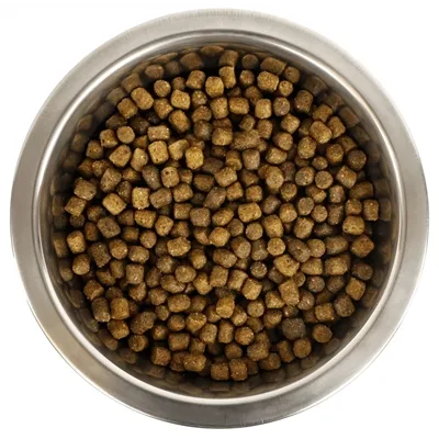 YOURDOG KONINGSPOEDEL PUP 12 KG YOURDOG KONINGSPOEDEL PUP 12 KG