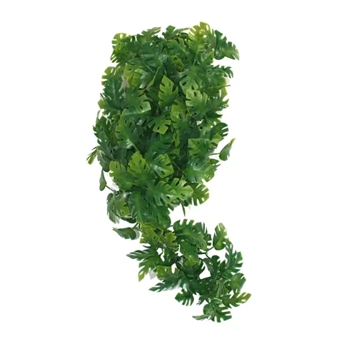 KOMODO PLANT SPLIT PHILODENDRON 30 CM KOMODO PLANT SPLIT PHILODENDRON 30 CM