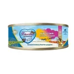 RENSKE HOND PUP/JUNIOR VERS VLEES KIP / LAM 24X95 GR RENSKE HOND PUP/JUNIOR VERS VLEES KIP / LAM 24X95 GR