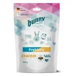 BUNNY NATURE PREBIOTIC CRACKER 100 GR BUNNY NATURE PREBIOTIC CRACKER 100 GR