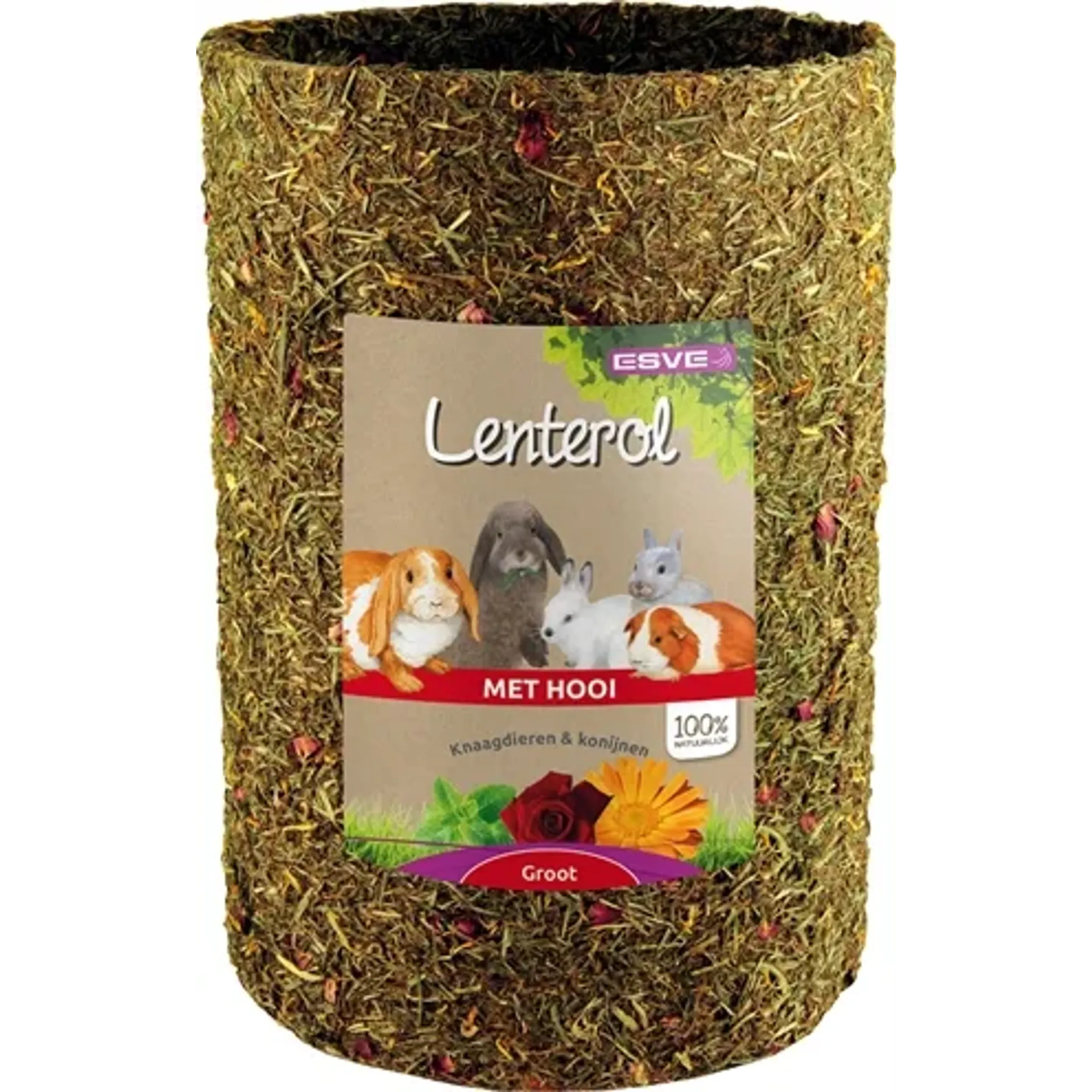 ESVE LENTEROL LARGE 30 CM