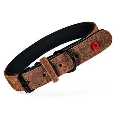 ZOLUX EXPERT HALSBAND HOND PREMIUM LEER / NEOPREEN BRUIN 80X3 CM ZOLUX EXPERT HALSBAND HOND PREMIUM LEER / NEOPREEN BRUIN 80X3 CM