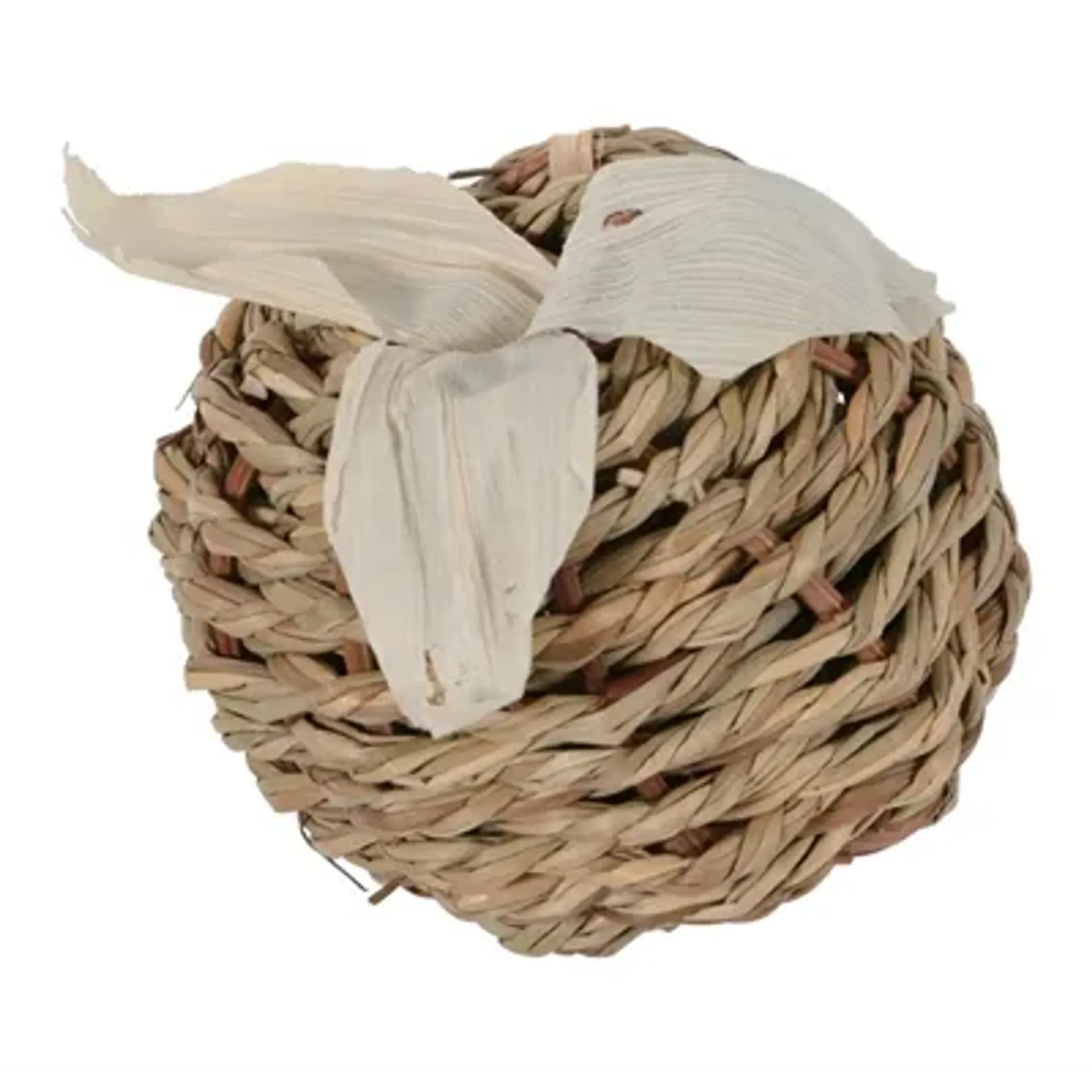 ZOLUX EHOP RADIJS ZEEGRAS 8 CM