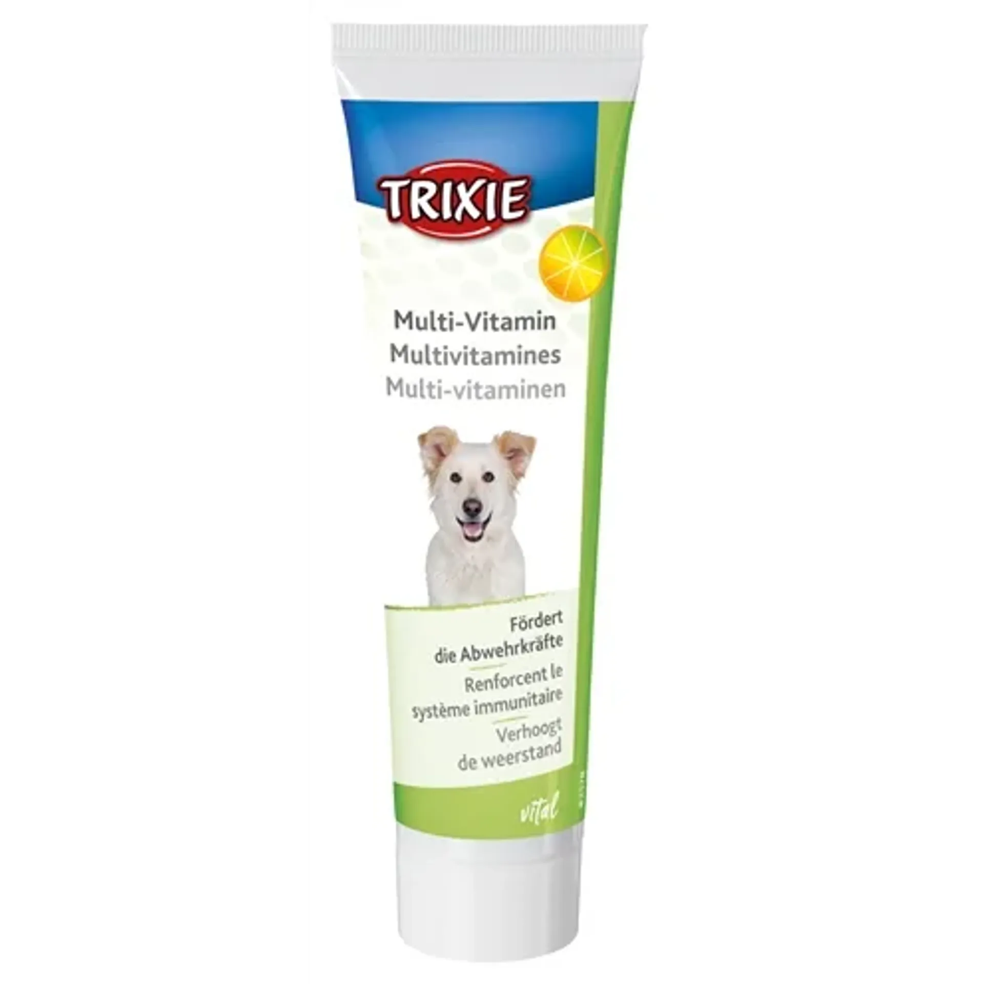 TRIXIE MULTI-VITAMINE PASTA HOND 100 GR