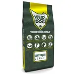 YOURDOG CESKY FOUSEK PUP 12 KG YOURDOG CESKY FOUSEK PUP 12 KG