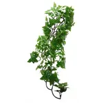 KOMODO PHILODENDRON PLANT 60 CM KOMODO PHILODENDRON PLANT 60 CM