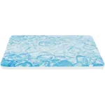 TRIXIE KOELPLAAT HAMSTER BLAUW 20X15 CM TRIXIE KOELPLAAT HAMSTER BLAUW 20X15 CM
