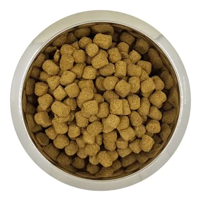 YOURDOG CHIEN FRANÇAIS BLANC ET ORANGE SENIOR 12 KG YOURDOG CHIEN FRANÇAIS BLANC ET ORANGE SENIOR 12 KG
