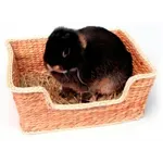 ROSEWOOD CHILL ‘N’ SNOOZE KNAAGDIERBED 33X26 CM ROSEWOOD CHILL ‘N’ SNOOZE KNAAGDIERBED 33X26 CM