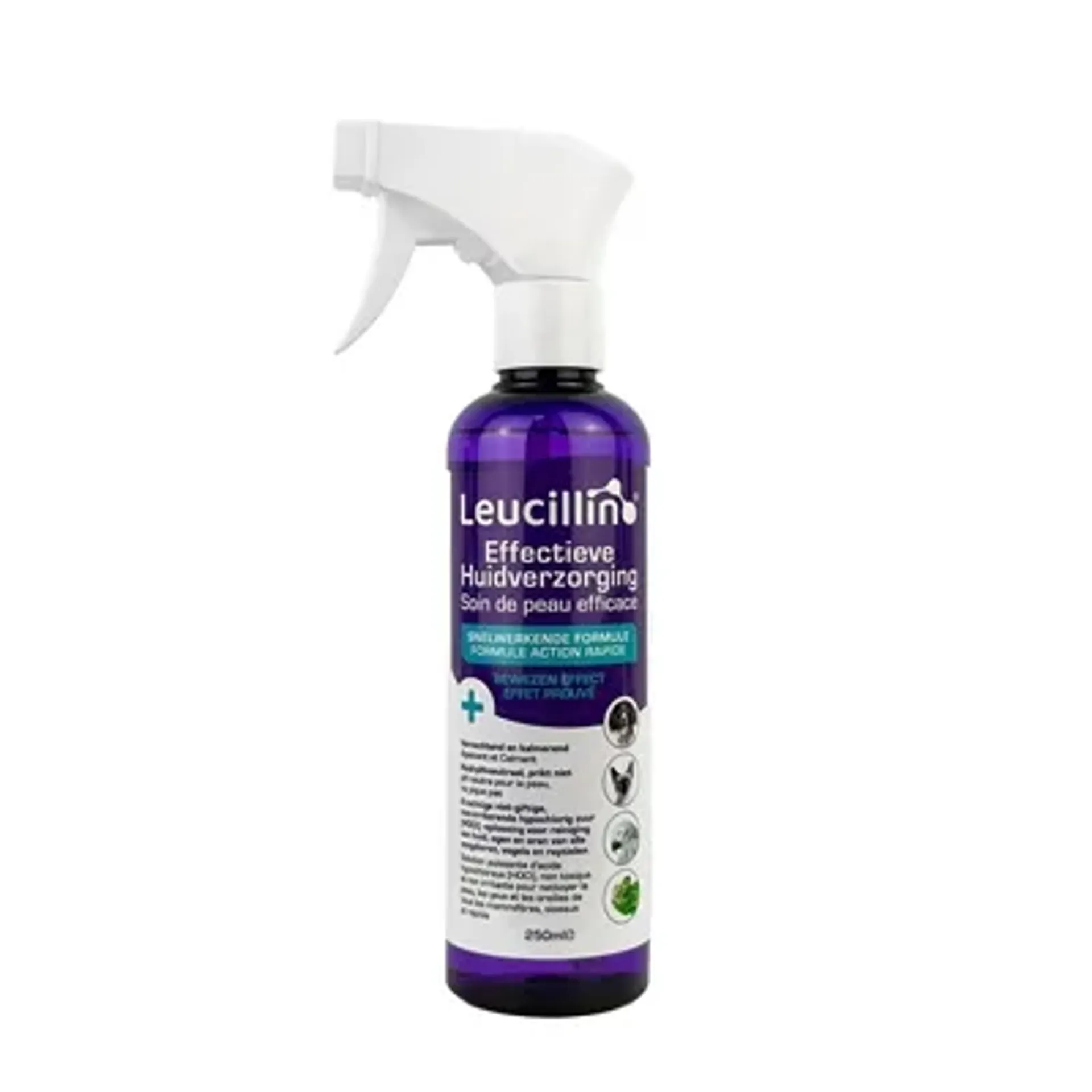 LEUCILLIN SPRAY 250 ML