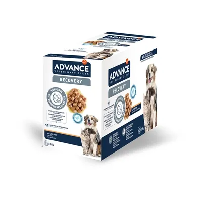 ADVANCE VETERINARY DIET DOG / CAT RECOVERY HERSTEL 11X100 GR ADVANCE VETERINARY DIET DOG / CAT RECOVERY HERSTEL 11X100 GR