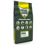 YOURDOG ANGLO-FRANÇAIS DE PETIT VÉNERIE SENIOR 12 KG YOURDOG ANGLO-FRANÇAIS DE PETIT VÉNERIE SENIOR 12 KG