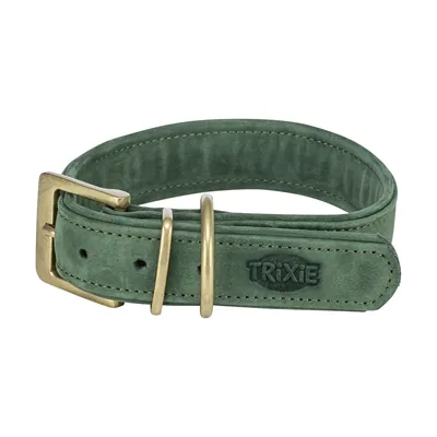 TRIXIE HALSBAND HOND PURE LEER SALIEGROEN XS-S 27-34X2,5 CM TRIXIE HALSBAND HOND PURE LEER SALIEGROEN XS-S 27-34X2,5 CM