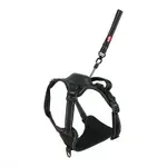 ZOLUX EASYRIDE HONDENTUIG ZWART XL 56-80X73-94 CM ZOLUX EASYRIDE HONDENTUIG ZWART XL 56-80X73-94 CM