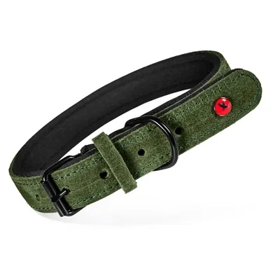 ZOLUX EXPERT HALSBAND HOND PREMIUM LEER / NEOPREEN GROEN 80X3 CM ZOLUX EXPERT HALSBAND HOND PREMIUM LEER / NEOPREEN GROEN 80X3 CM