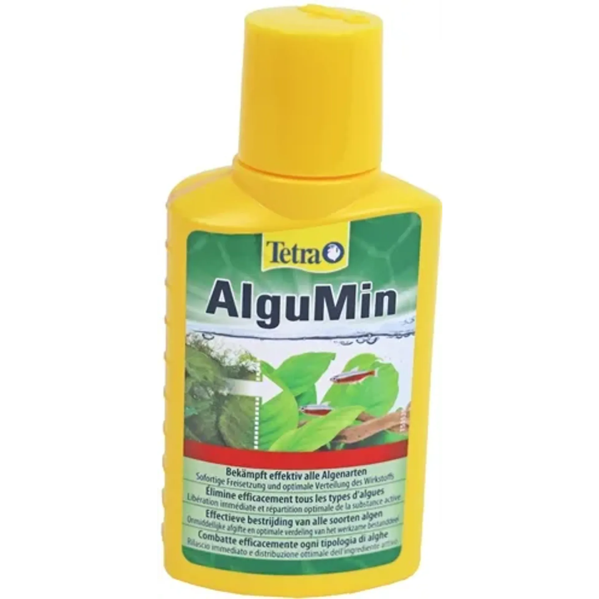TETRA AQUA ALGUMIN ALGENREMMER 100 ML