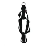 MARTIN HONDENTUIG BASIC NYLON ZWART 70-90X2,5 CM MARTIN HONDENTUIG BASIC NYLON ZWART 70-90X2,5 CM