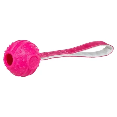 TRIXIE WERPBAL SOFT & STRONG TPR ROZE 27X6X6 CM TRIXIE WERPBAL SOFT & STRONG TPR ROZE 27X6X6 CM