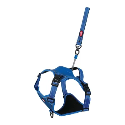 ZOLUX EASYRIDE HONDENTUIG BLAUW XL 56-80X73-94 CM ZOLUX EASYRIDE HONDENTUIG BLAUW XL 56-80X73-94 CM