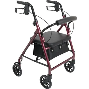 ProBasics Junior Aluminum Rollator With 6″ Wheels ProBasics Junior Aluminum Rollator With 6″ Wheels