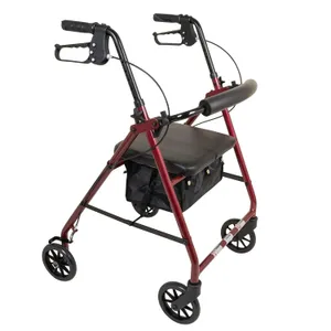 ProBasics Standard Aluminum Rollator with 6" Wheels ProBasics Standard Aluminum Rollator with 6" Wheels