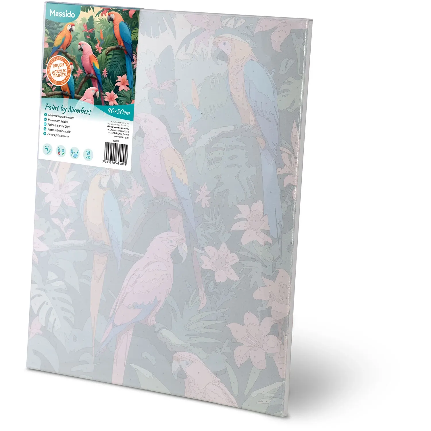 Paveikslas tapyti pagal skaičius 40x50 cm Massido Papugi - nuotrauka 1