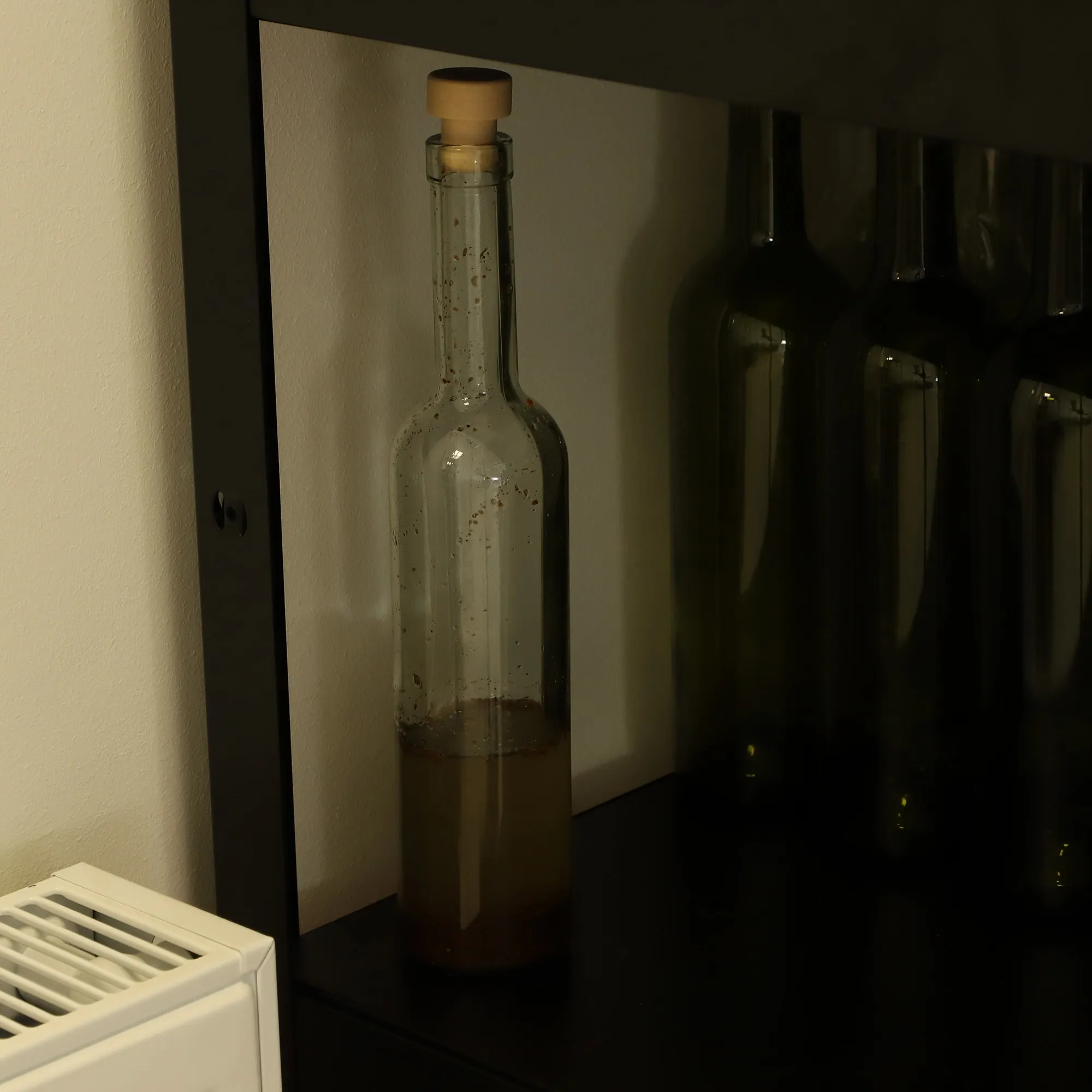 Universalios vyno mielės, labai alkoholio turinčios, 5 g