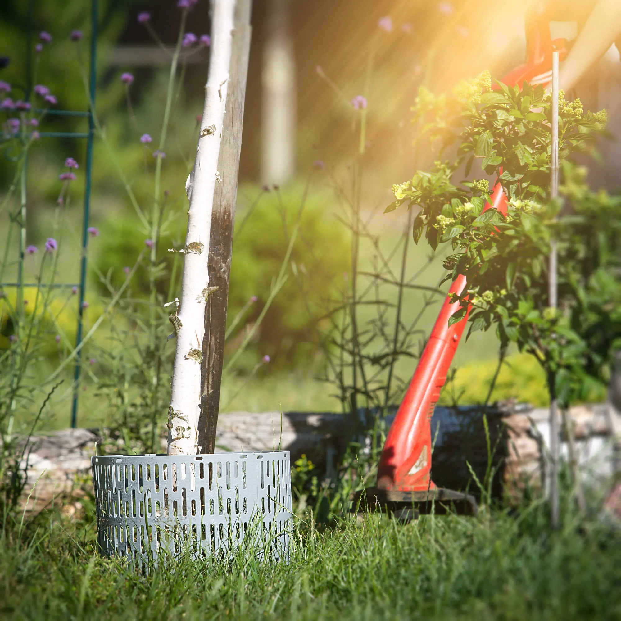 Ydes medžio kamieno uždangalai 20 x 33 cm pilki 3 vnt.