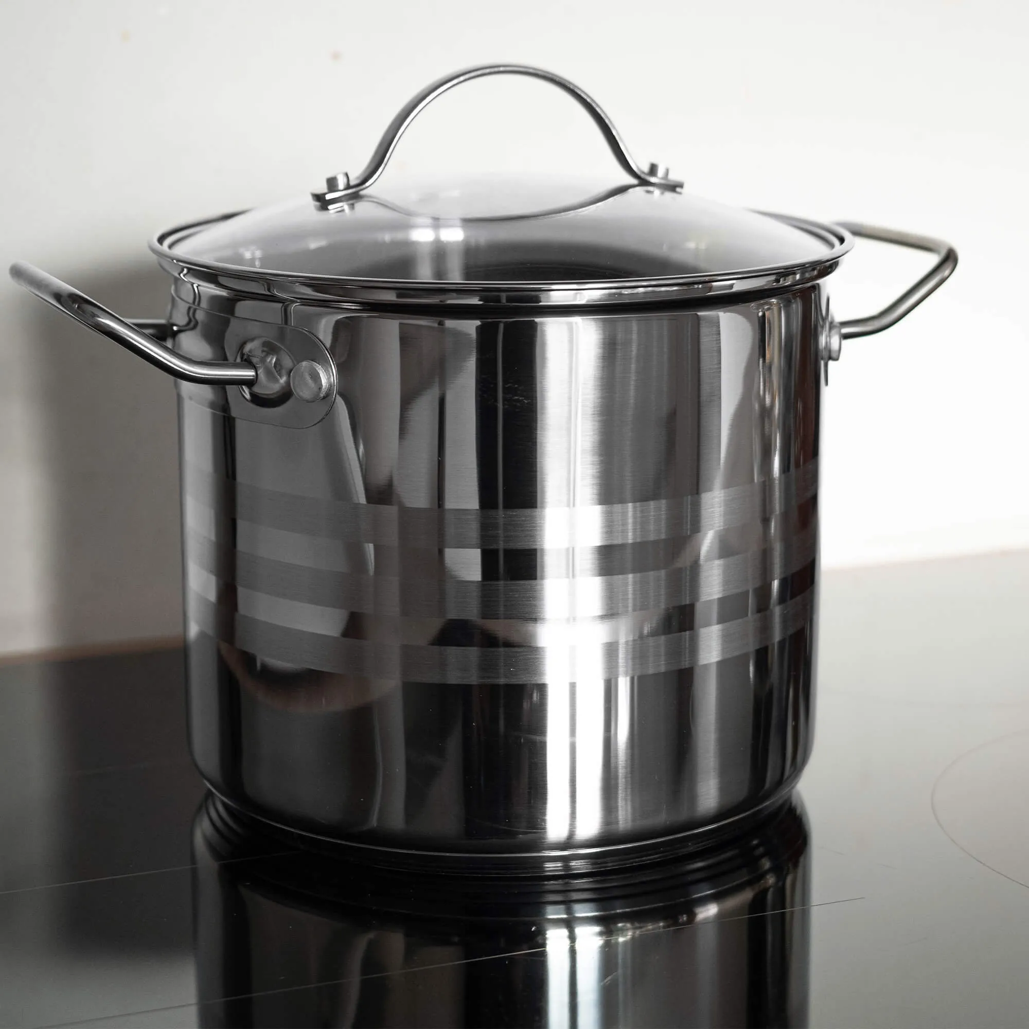 Sveg plieninis puodas su dangčiu, 5 l